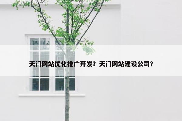 天门网站优化推广开发？天门网站建设公司？