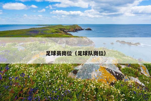 足球员岗位（足球队岗位）