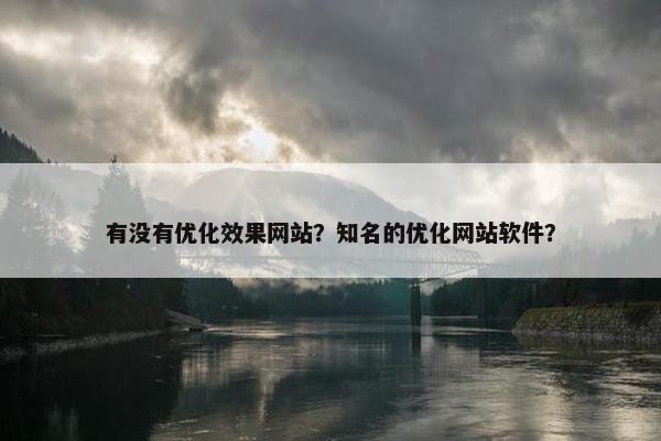 有没有优化效果网站？知名的优化网站软件？