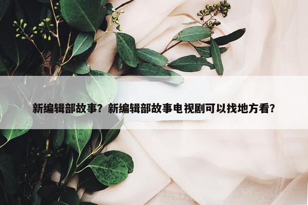 新编辑部故事？新编辑部故事电视剧可以找地方看？