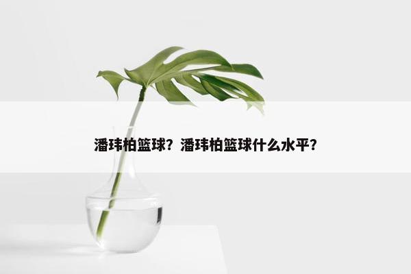 潘玮柏篮球？潘玮柏篮球什么水平？