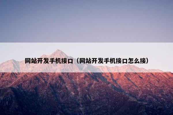 网站开发手机接口（网站开发手机接口怎么接）