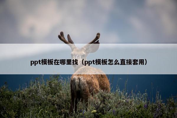 ppt模板在哪里找（ppt模板怎么直接套用）