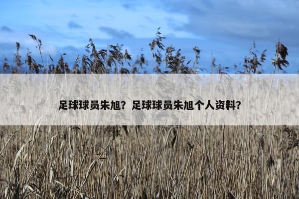 足球球员朱旭？足球球员朱旭个人资料？