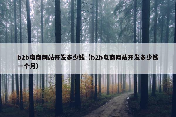 b2b电商网站开发多少钱（b2b电商网站开发多少钱一个月）