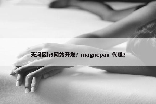 天河区h5网站开发？magnepan 代理？