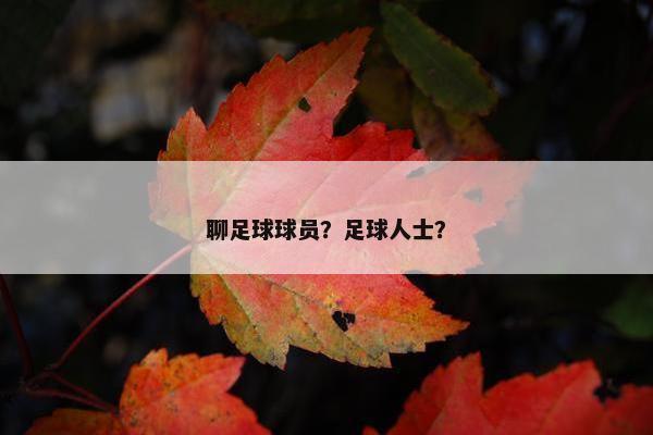 聊足球球员？足球人士？