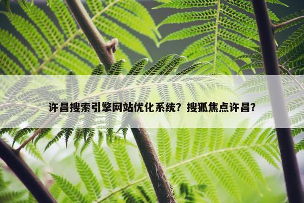 许昌搜索引擎网站优化系统？搜狐焦点许昌？