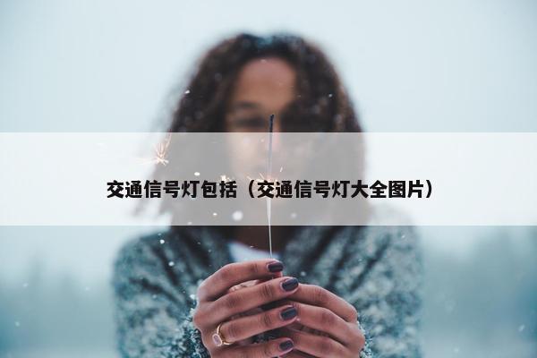 交通信号灯包括（交通信号灯大全图片）