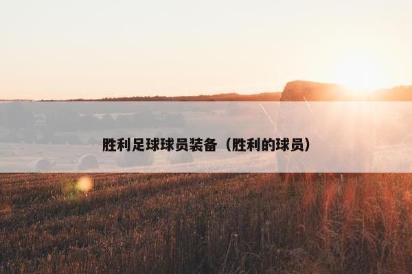 胜利足球球员装备（胜利的球员）