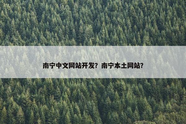 南宁中文网站开发？南宁本土网站？