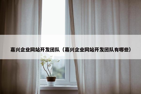 嘉兴企业网站开发团队（嘉兴企业网站开发团队有哪些）