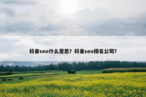 抖音seo什么意思？抖音seo排名公司？