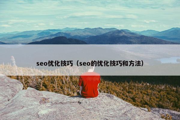 seo优化技巧（seo的优化技巧和方法）