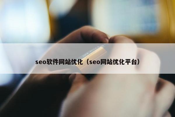 seo软件网站优化（seo网站优化平台）