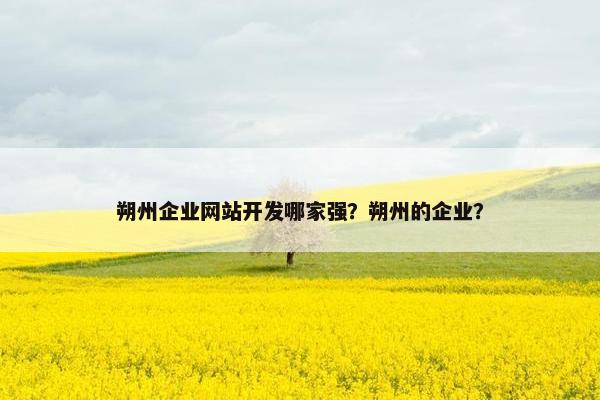 朔州企业网站开发哪家强？朔州的企业？