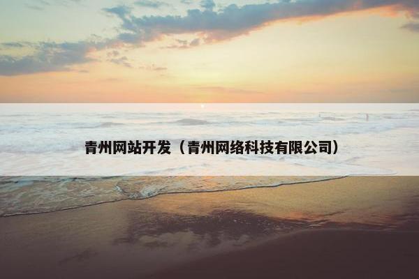 青州网站开发（青州网络科技有限公司）