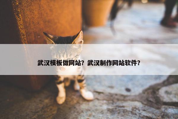 武汉模板做网站？武汉制作网站软件？