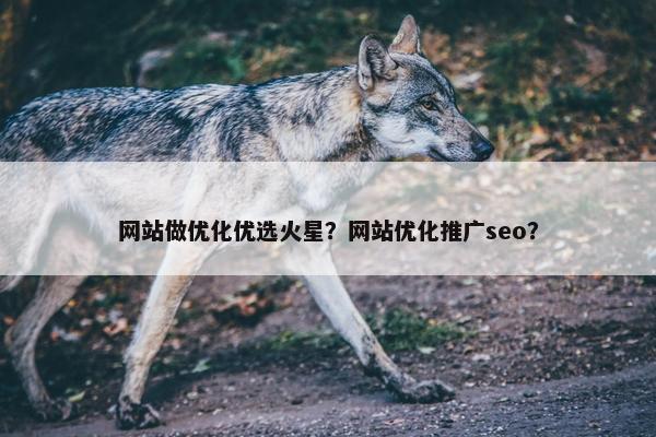 网站做优化优选火星？网站优化推广seo？