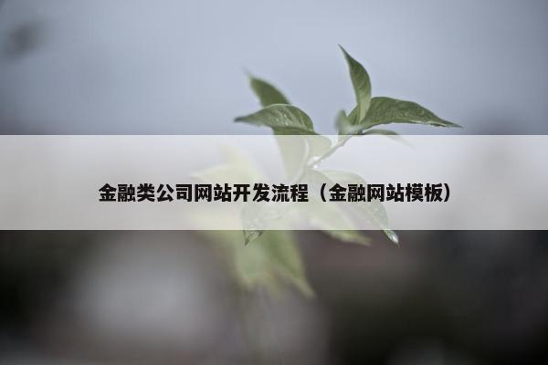 金融类公司网站开发流程（金融网站模板）