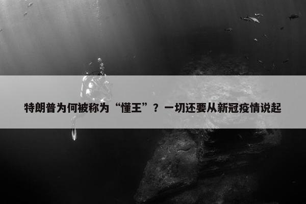 特朗普为何被称为“懂王”？一切还要从新冠疫情说起