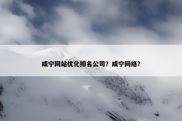 咸宁网站优化排名公司？咸宁网络？