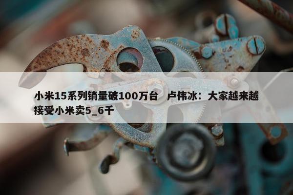 小米15系列销量破100万台  卢伟冰：大家越来越接受小米卖5_6千