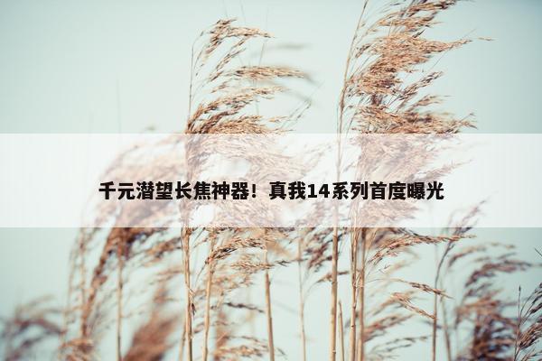 千元潜望长焦神器！真我14系列首度曝光