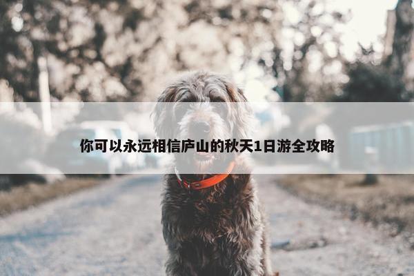 你可以永远相信庐山的秋天1日游全攻略