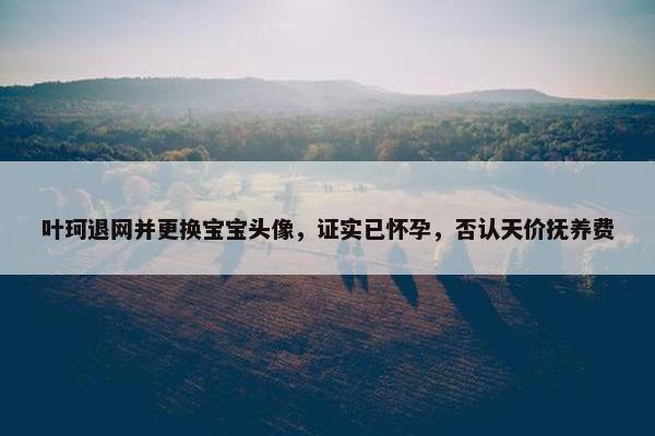 叶珂退网并更换宝宝头像，证实已怀孕，否认天价抚养费