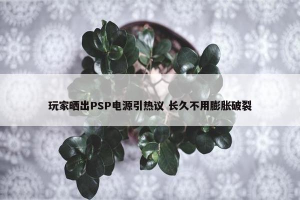 玩家晒出PSP电源引热议 长久不用膨胀破裂