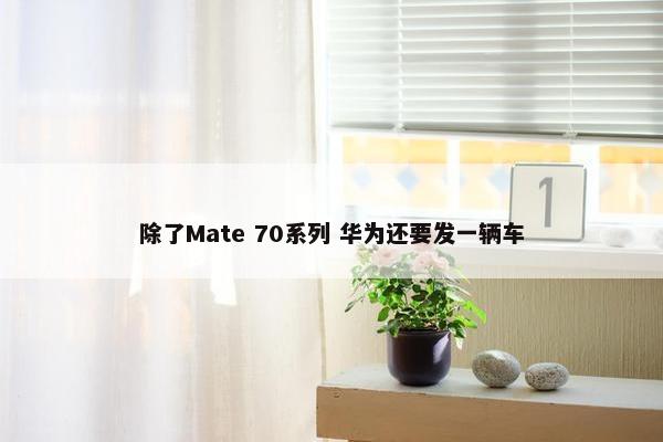 除了Mate 70系列 华为还要发一辆车