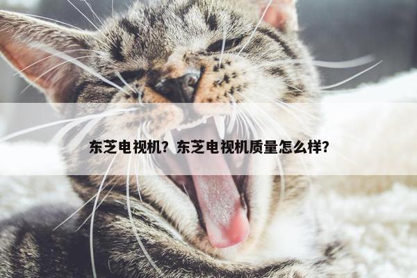 东芝电视机？东芝电视机质量怎么样？