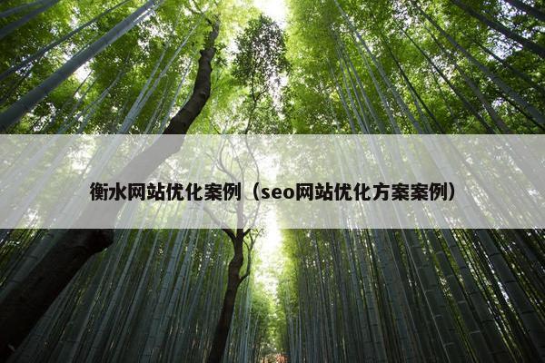 衡水网站优化案例（seo网站优化方案案例）