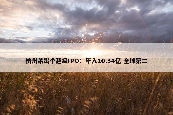 杭州杀出个超级IPO：年入10.34亿 全球第二