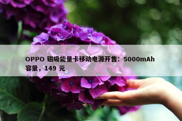 OPPO 磁吸能量卡移动电源开售：5000mAh 容量，149 元