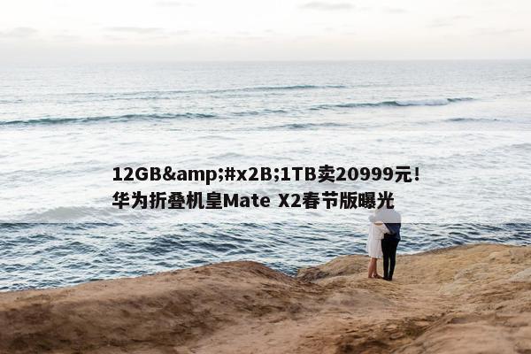 12GB&#x2B;1TB卖20999元！华为折叠机皇Mate X2春节版曝光