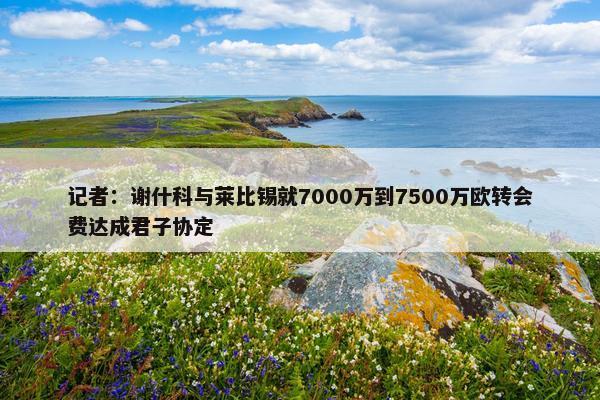 记者：谢什科与莱比锡就7000万到7500万欧转会费达成君子协定