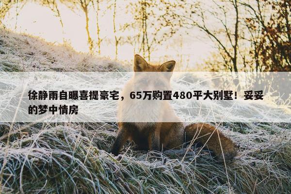 徐静雨自曝喜提豪宅，65万购置480平大别墅！妥妥的梦中情房