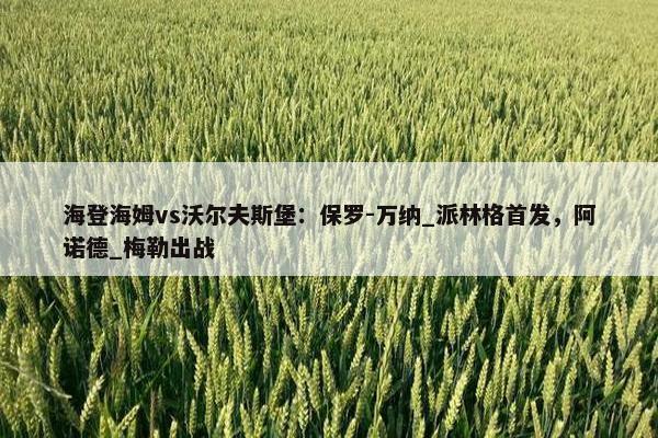 海登海姆vs沃尔夫斯堡：保罗-万纳_派林格首发，阿诺德_梅勒出战