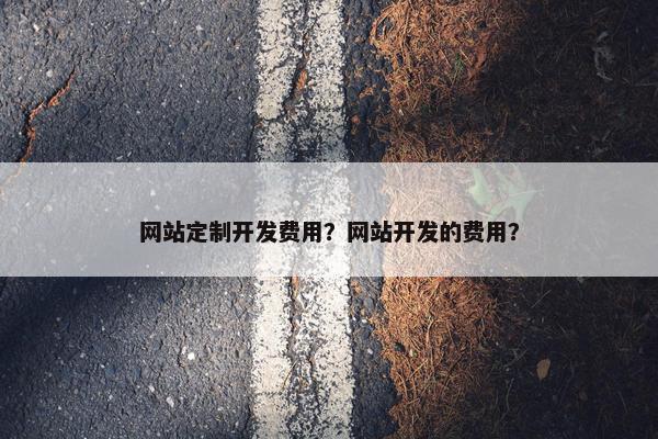 网站定制开发费用？网站开发的费用？