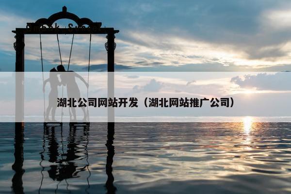 湖北公司网站开发（湖北网站推广公司）