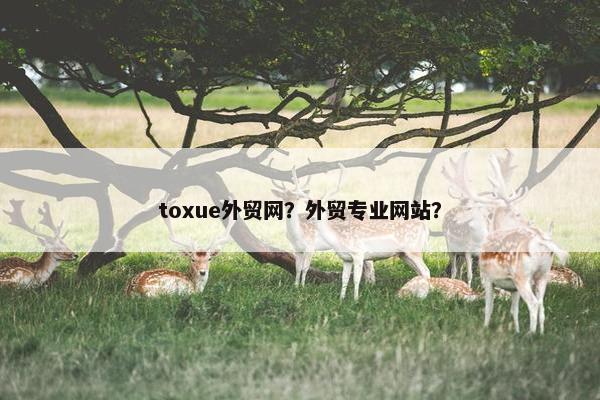 toxue外贸网？外贸专业网站？