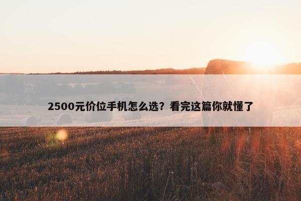 2500元价位手机怎么选？看完这篇你就懂了