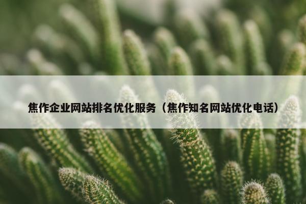 焦作企业网站排名优化服务（焦作知名网站优化电话）