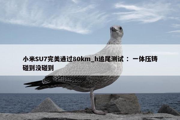 小米SU7完美通过80km_h追尾测试 ：一体压铸碰到没碰到