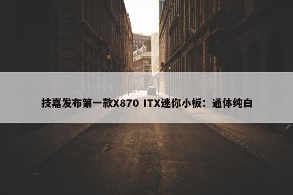 技嘉发布第一款X870 ITX迷你小板：通体纯白