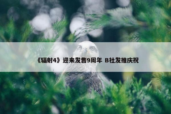 《辐射4》迎来发售9周年 B社发推庆祝