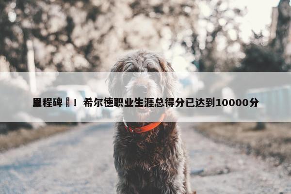 里程碑✅！希尔德职业生涯总得分已达到10000分