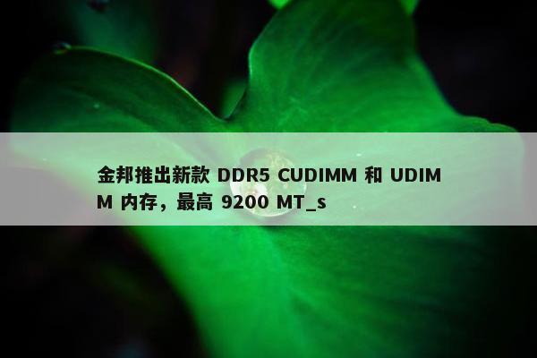 金邦推出新款 DDR5 CUDIMM 和 UDIMM 内存，最高 9200 MT_s